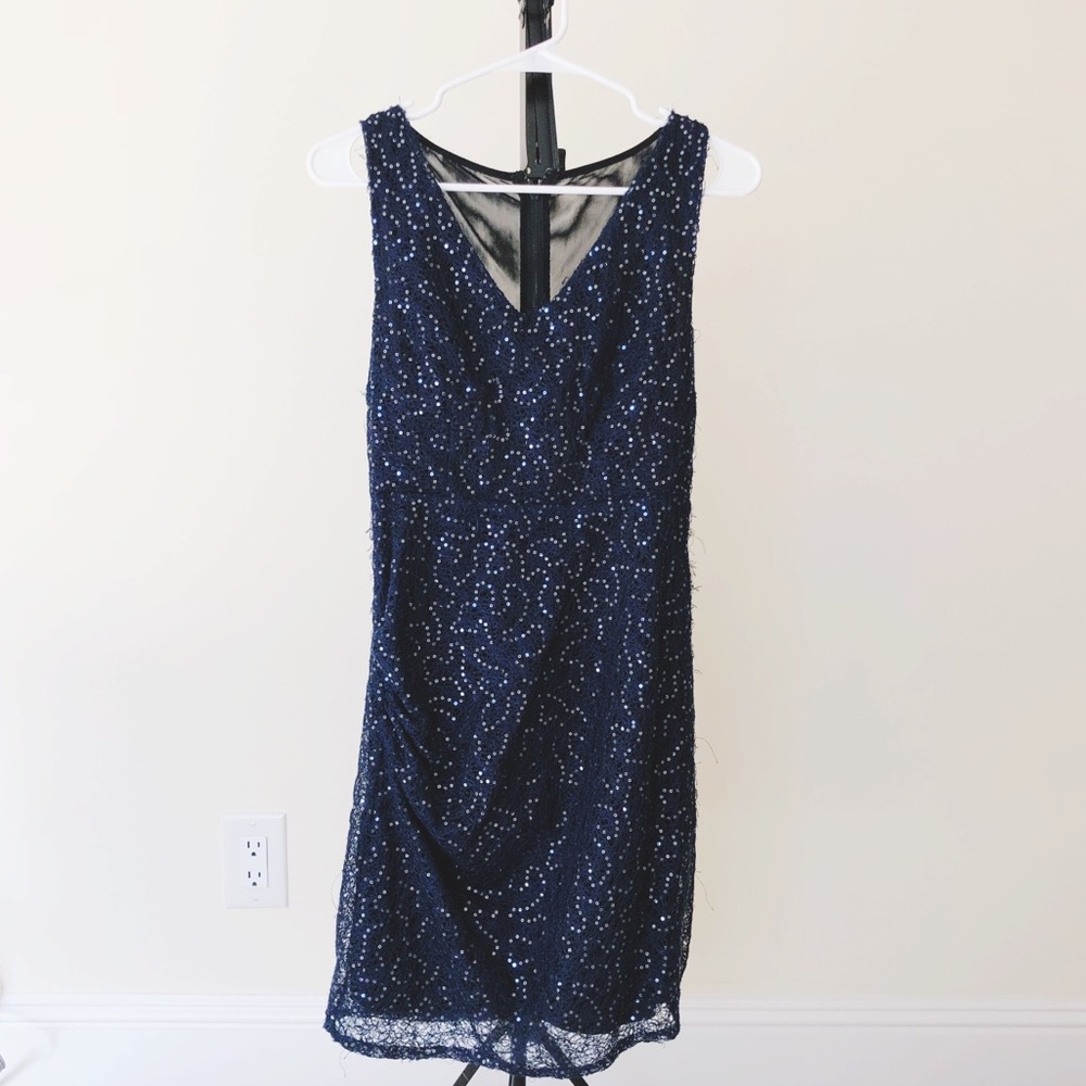 Fitted Woven Shimmer Dress with Mesh Backing